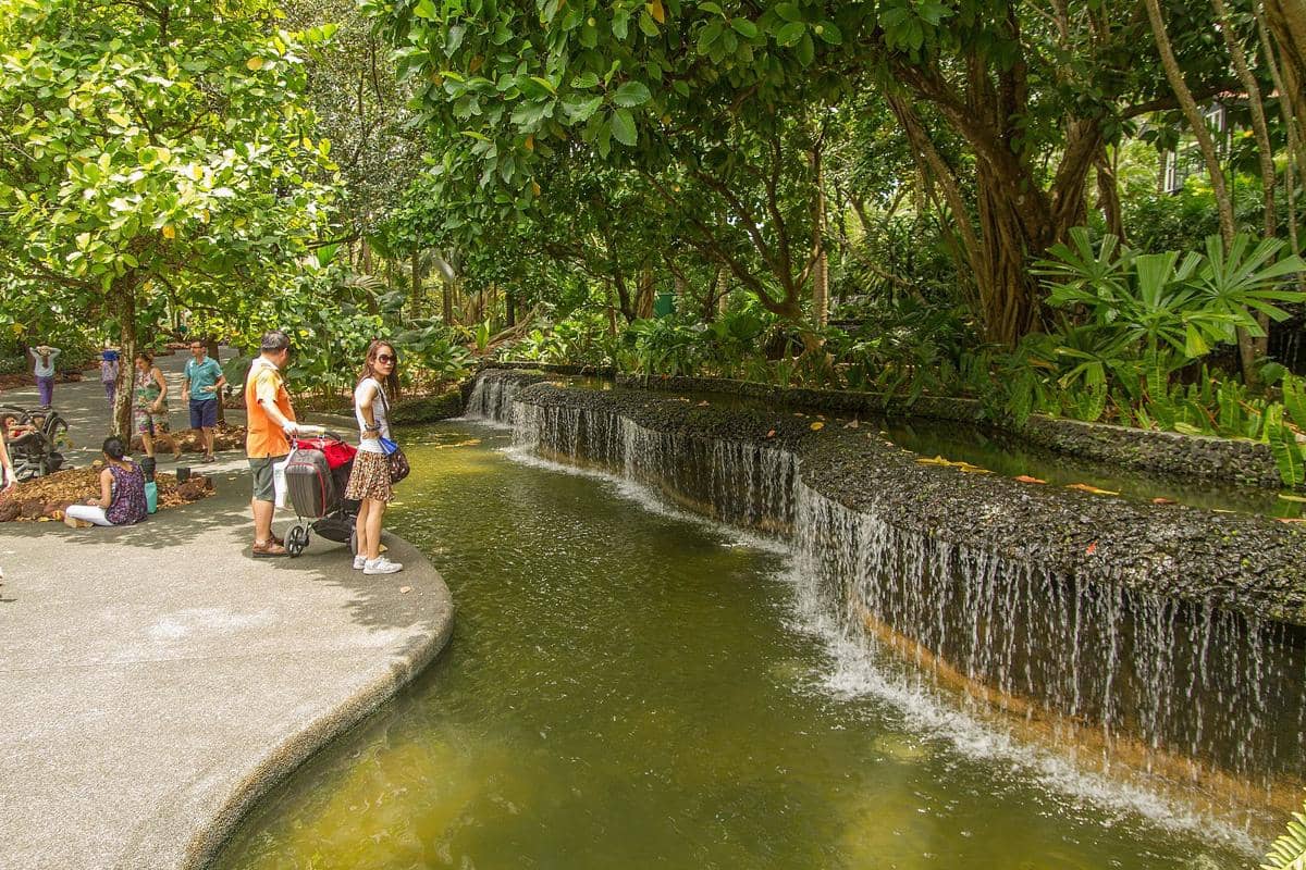 Singapore Botanic Gardens