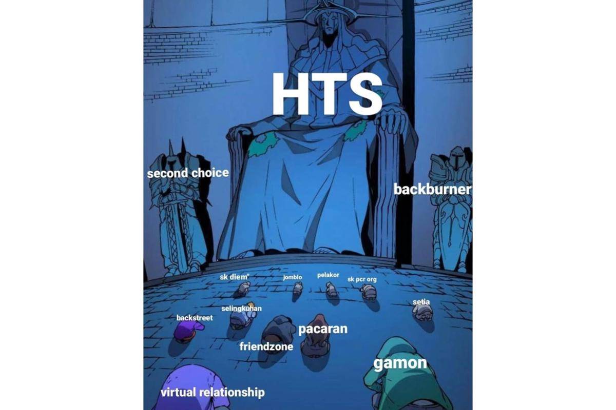 Meme HTS (instagram.com/buzzumum)