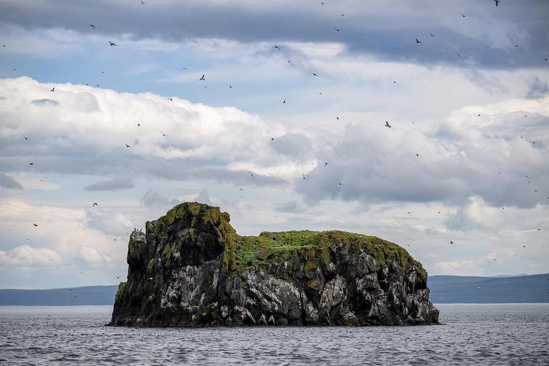 8 Fakta Menarik Pulau Grimsey, Jumlah Burung Lebih Banyak dari Manusia! 