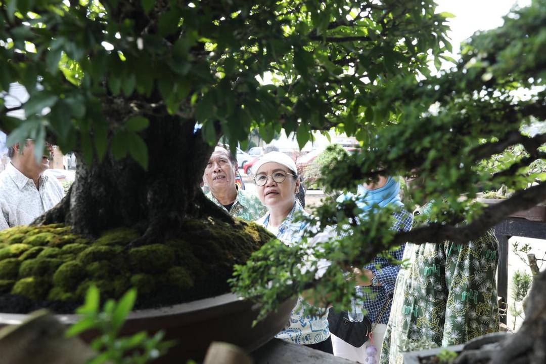 Wali kota semarang, agustina wilujeng, bonsai