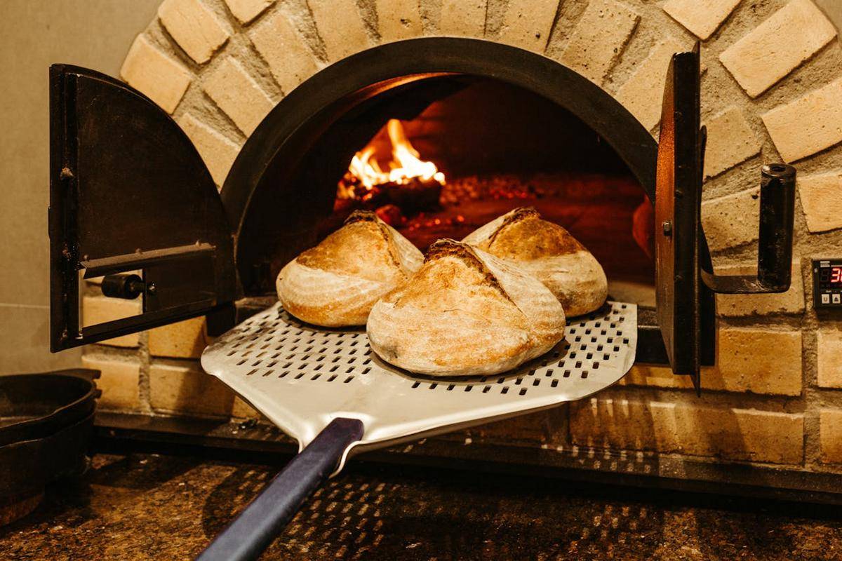 ilustrasi sourdough