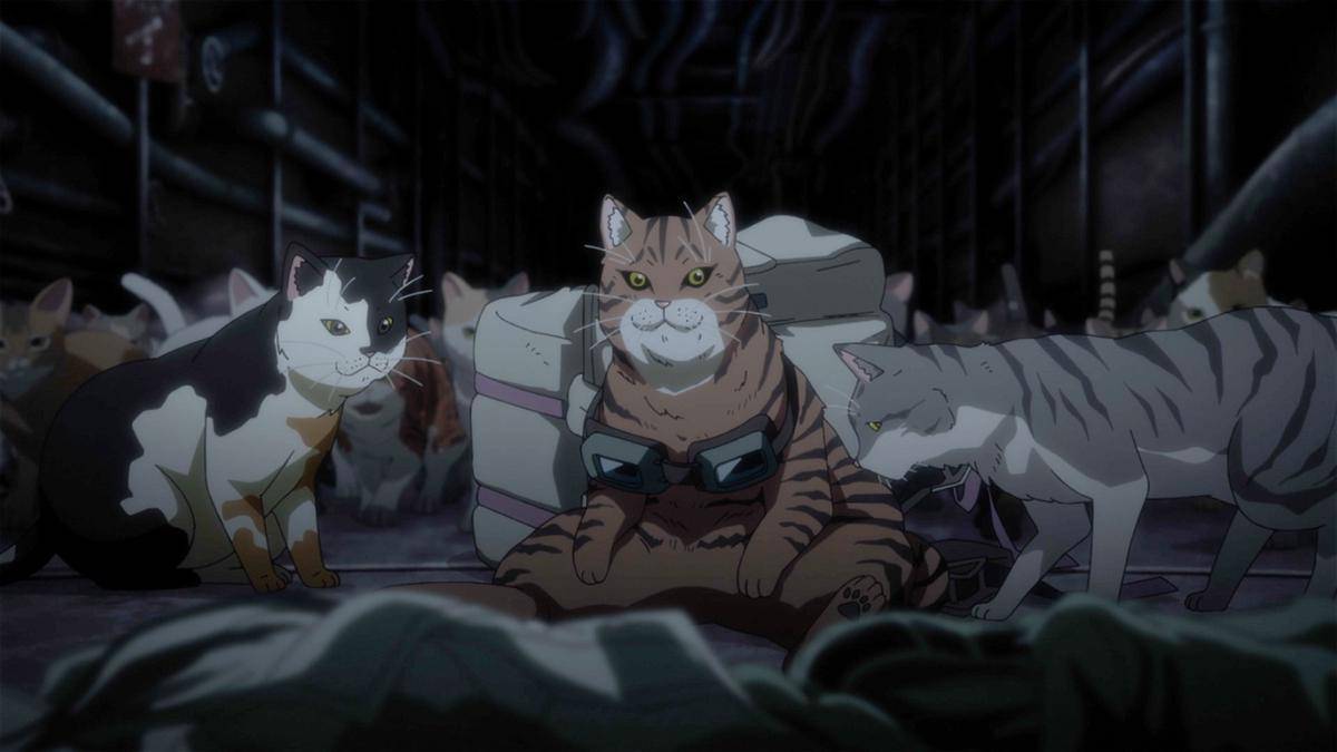 Nyaight of the Living Cat