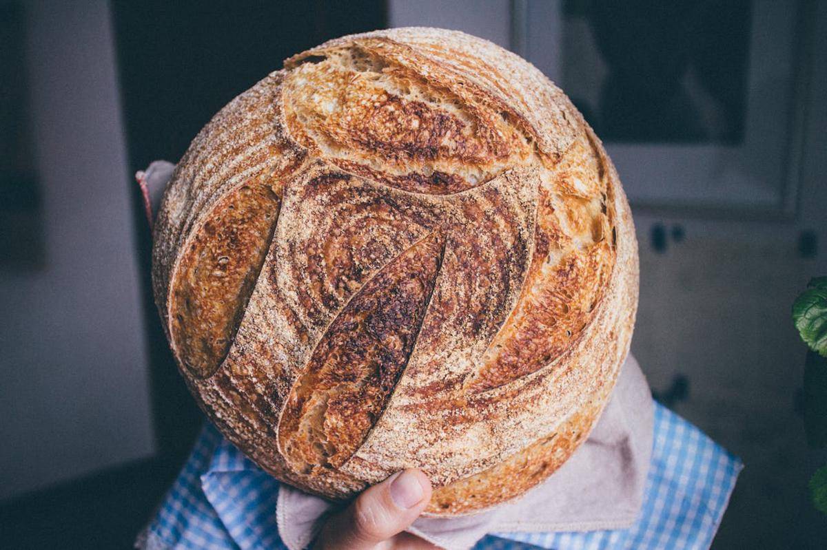 ilustrasi sourdough