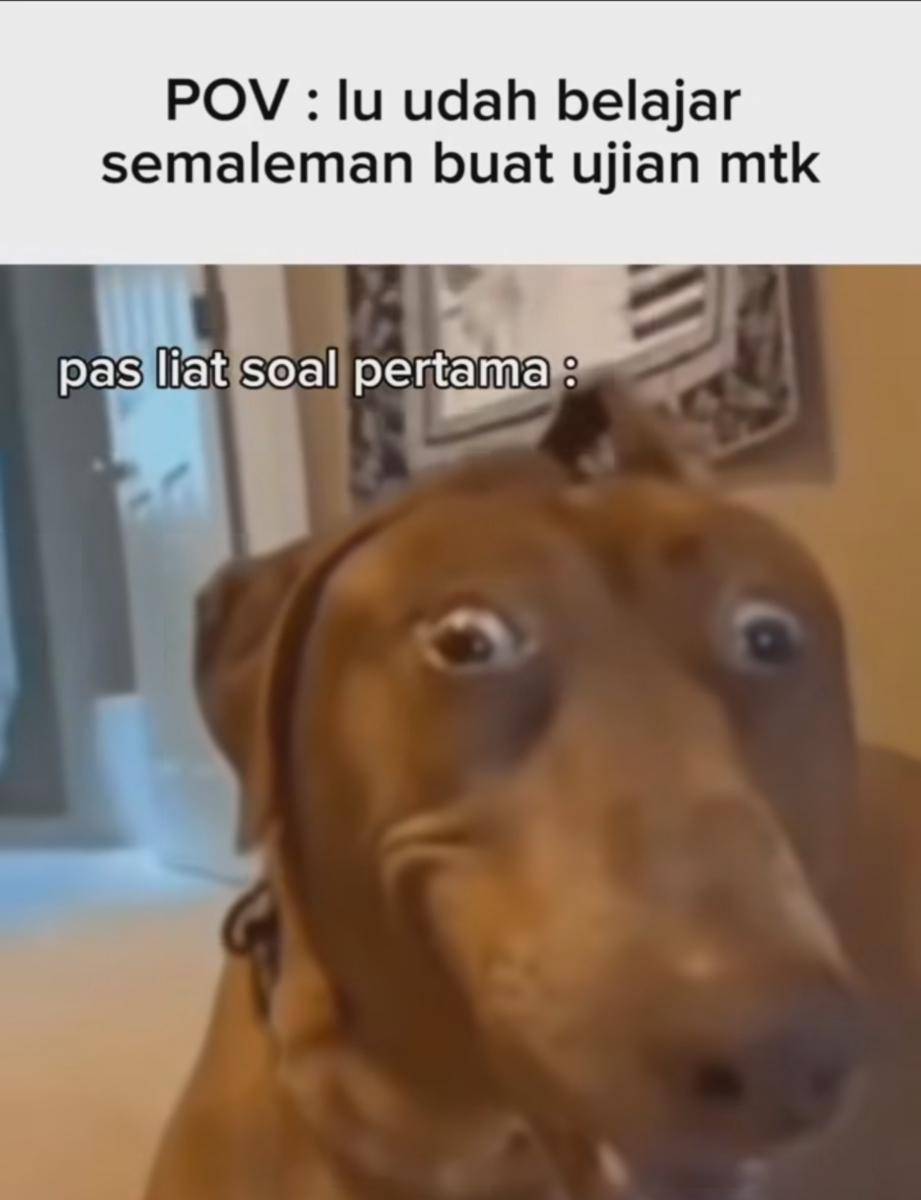 Meme belajar (instagram.com/bahasstudi)