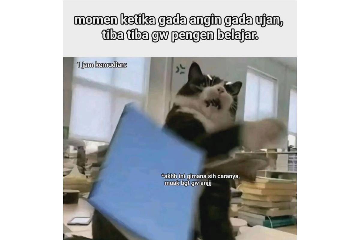 Meme belajar (instagram.com/rivalnpc_)