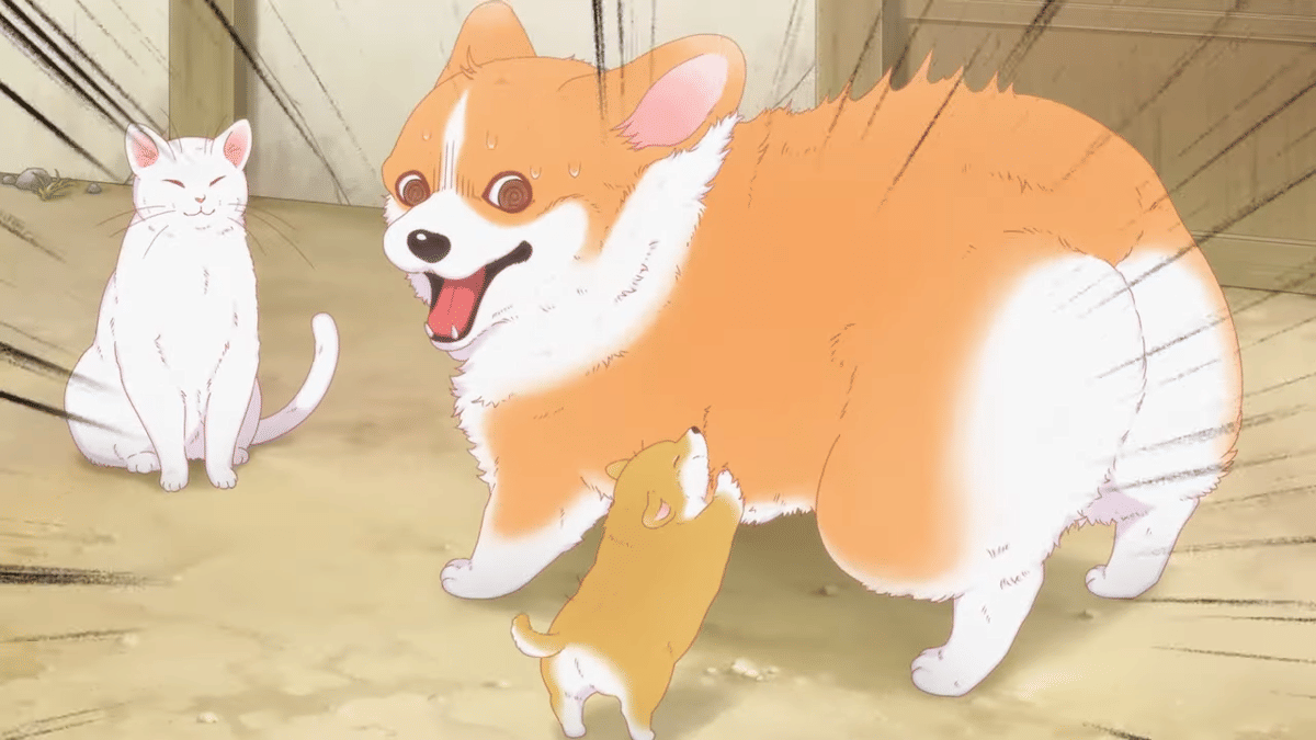 cuplikan dari anime The Corgi and The Samurai (2024)