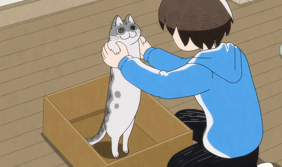 cuplikan dari anime Nights with a Cat (2022)