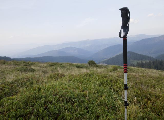 Potret tongkat gunung (vecteezy.com/Nadezhda Bolotina)