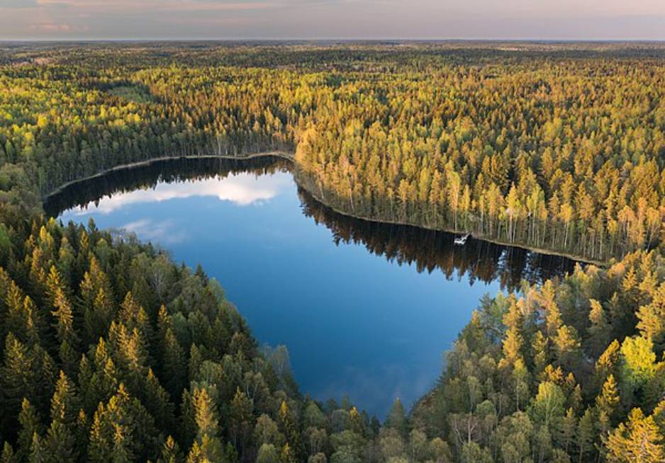 potret hutan Finlandia