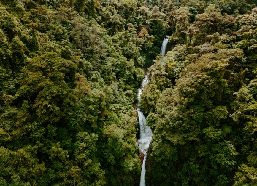 potret hutan Kosta Rika