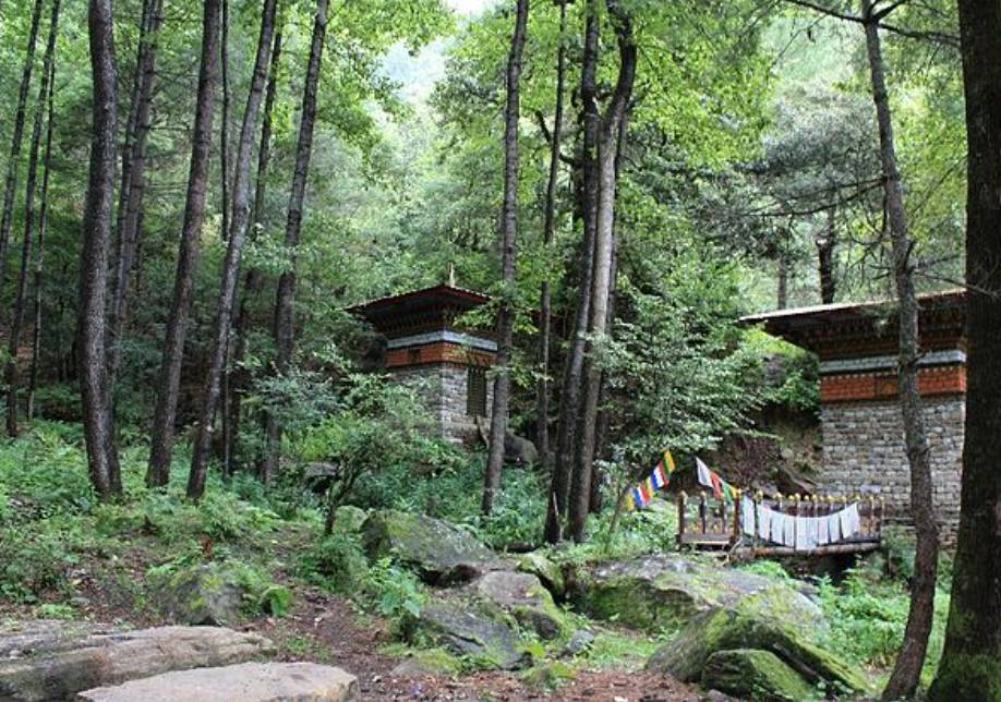 potret hutan Bhutan