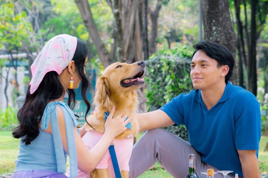 Sinematografi yang lebih berwarna dari versi aslinya.jpg
