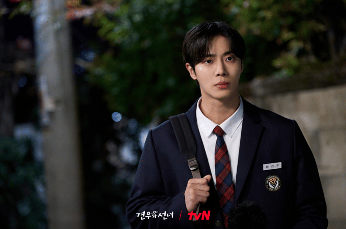 Choo Young Woo di drama Head Over Heels
