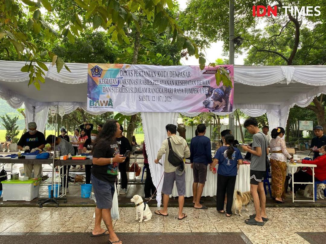 Rayakan Tumpek Uye, Anabul Vaksin Gratis di Denpasar
