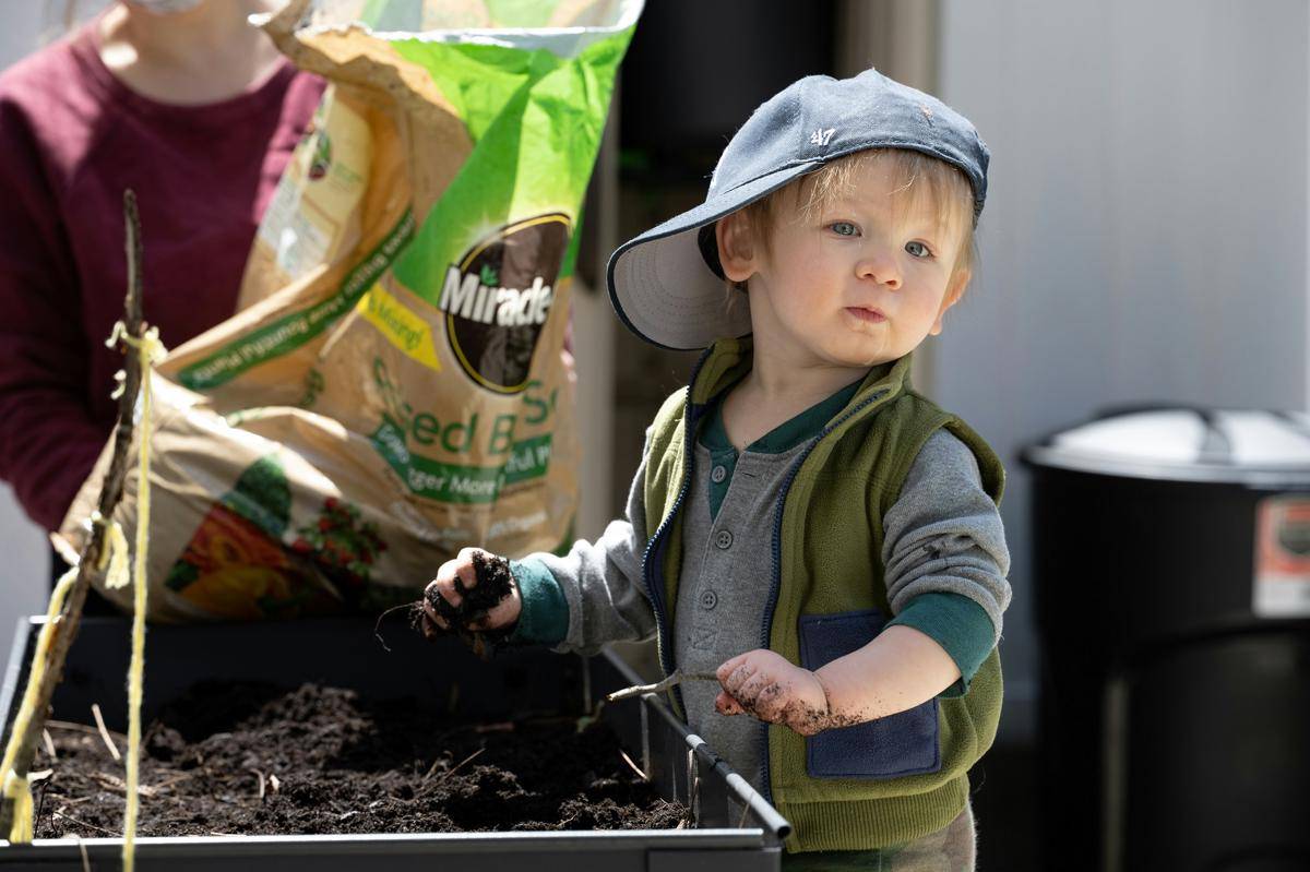 ilustrasi anak kecil berkebun (unsplash.com/Christopher Luther)