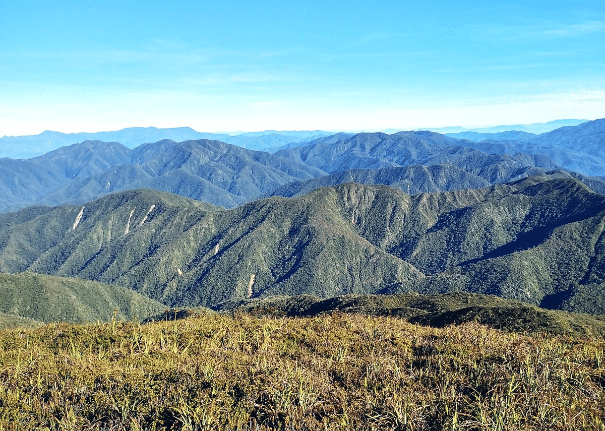 Taman Nasional Gunung Leuser (commons.wikimedia.org/Khairul ihwan)