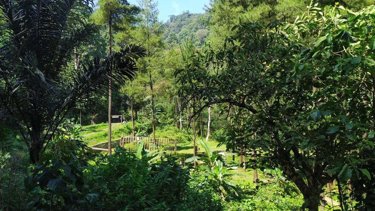 Sidang Debottlenecking, Purbaya Ungkap 2 Masalah Pengusaha