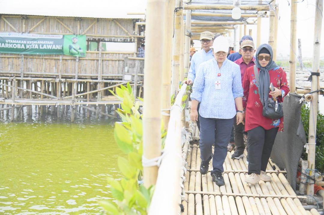 tambaklorok, tambakrejo, mangrove, ekowisata mangrove, pesisir semarang
