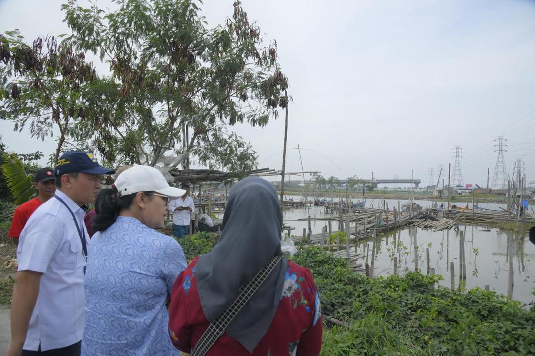tambaklorok, tambakrejo, mangrove, ekowisata mangrove, pesisir semarang