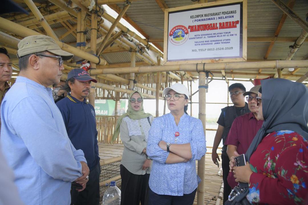 tambaklorok, tambakrejo, mangrove, ekowisata mangrove, pesisir semarang