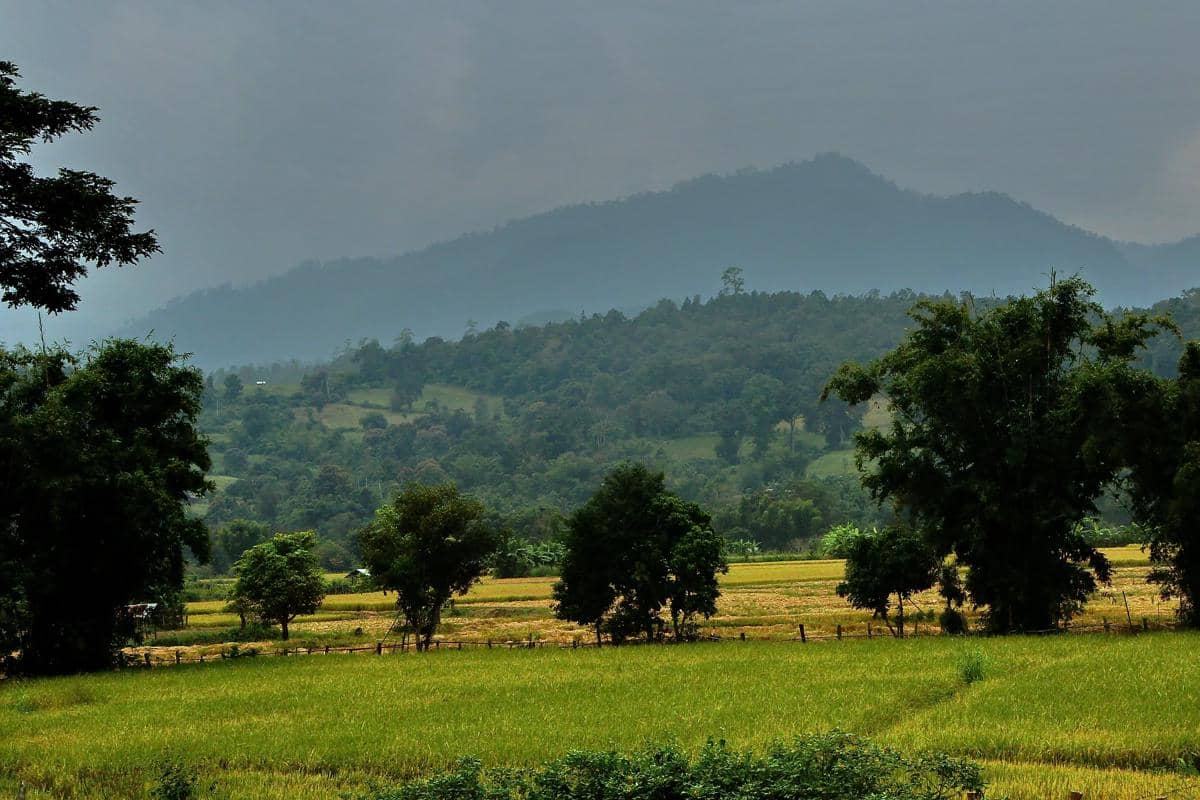 Potret chiang dao, Thailand