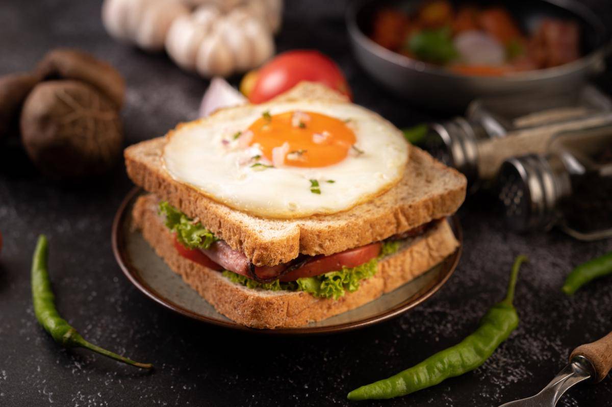 Ilustrasi roti gandum isi telur dan sayur (freepik.com/jcomp)