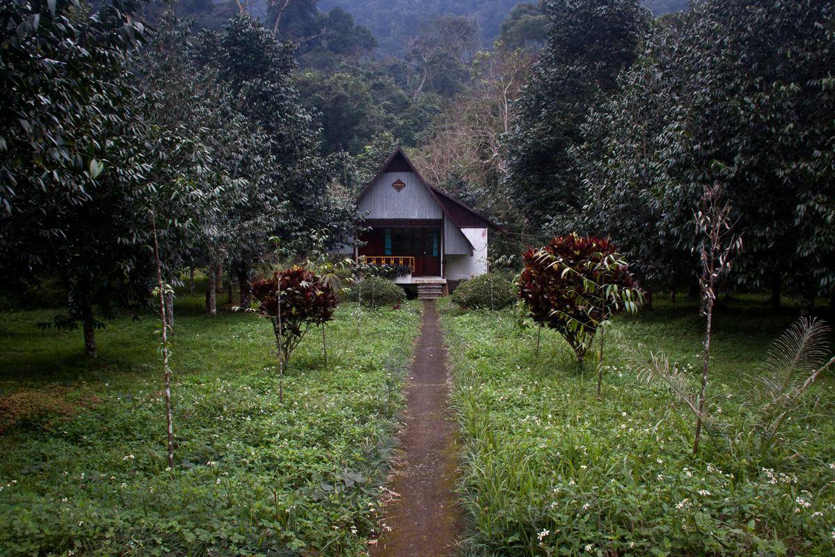 Cuc Phuong National Park, Vietnam (flickr.com/Red Nguyen)