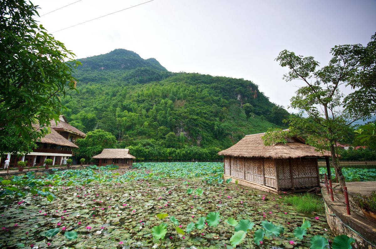 Mai Cau, Vietnam (flickr.com/Mark Turner)