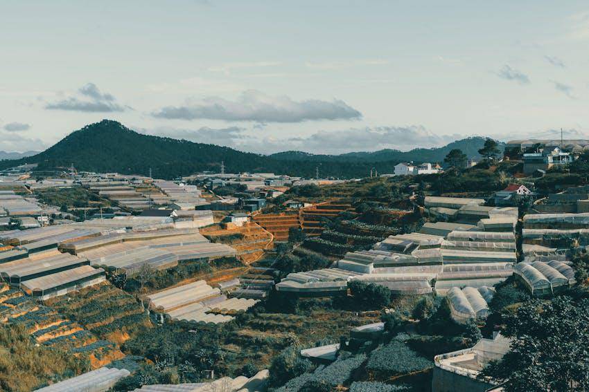 Da Lat, Vietnam (pexels.com/Red Nguyen)