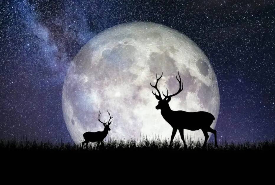 ilustrasi bulan purnama (pexels.com/Shiny Diamond)
