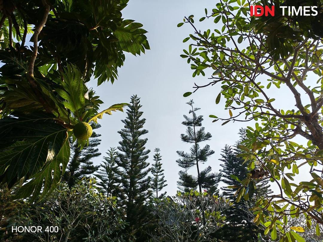 hasil jepretan HONOR 400 5G (IDN Times/Fatkhur Rozi)