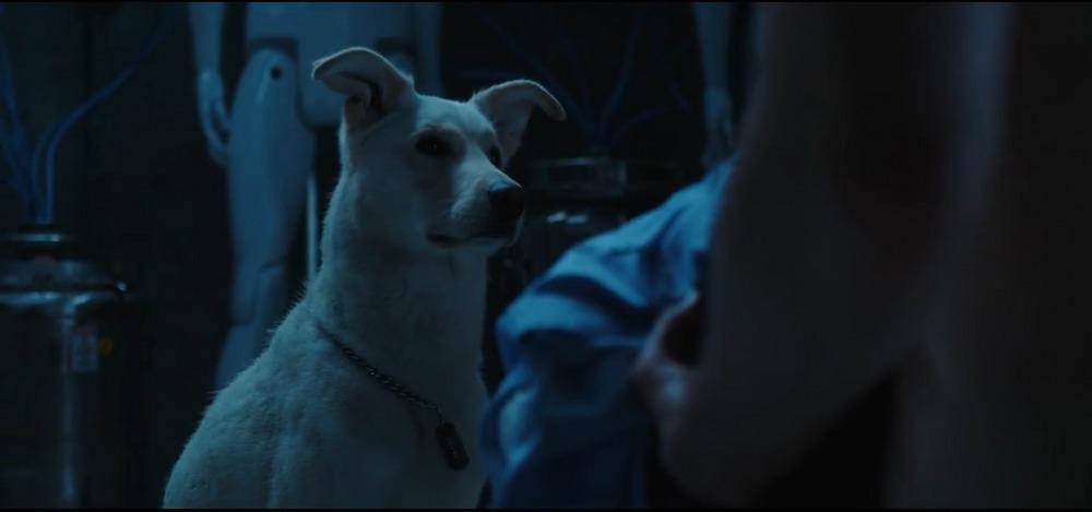 Krypto (dok. HBO/Titans)