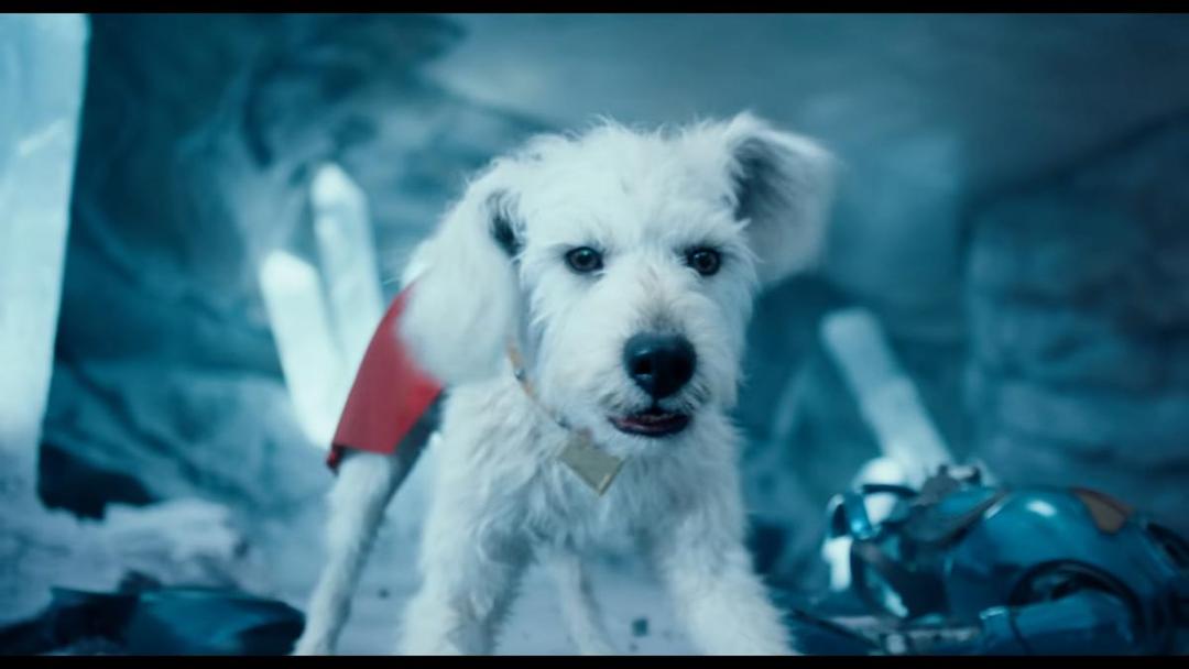 Krypto (youtube.com/dcofficial)