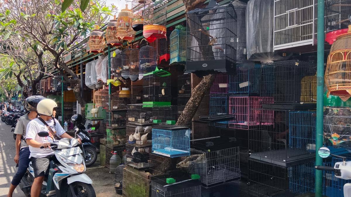 Pasar burung