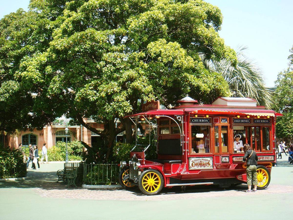 potret Tokyo Disneyland (pixabay.com/UsuHeo)