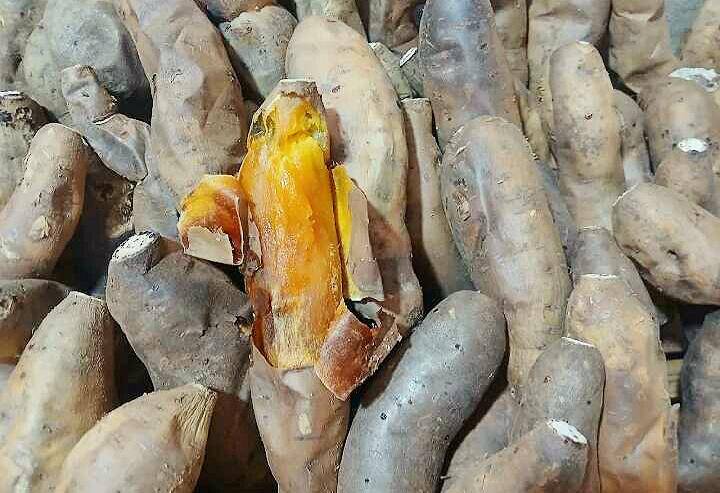 ubi cilembu