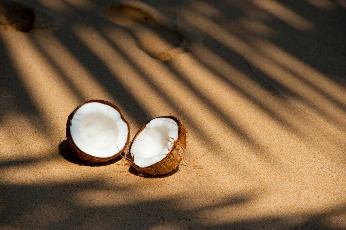 ilustrasi kelapa. pexels.com/Alex P