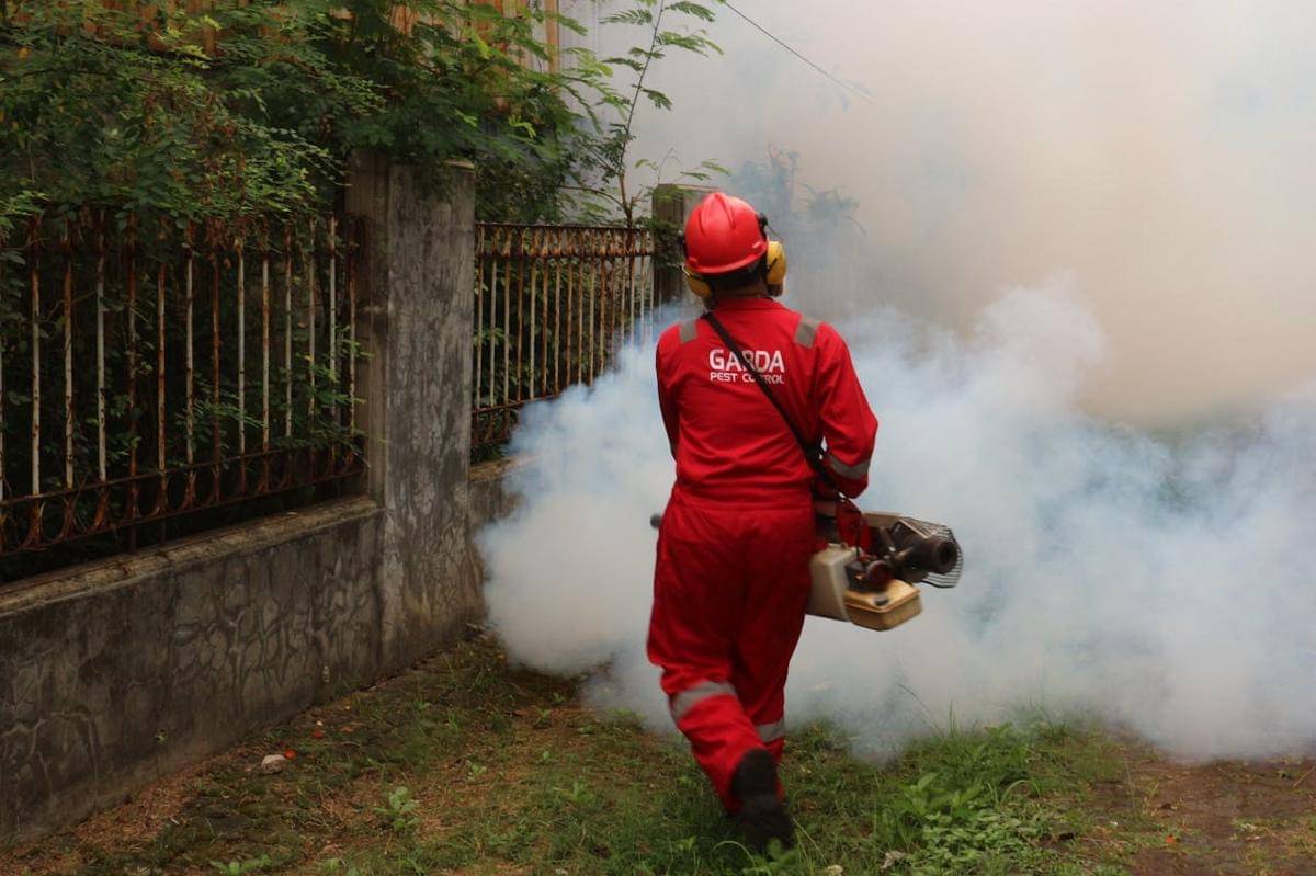 Ilustrasi fogging untuk membasmi nyamuk (pexels.com/Garda Pest Control Indonesia)