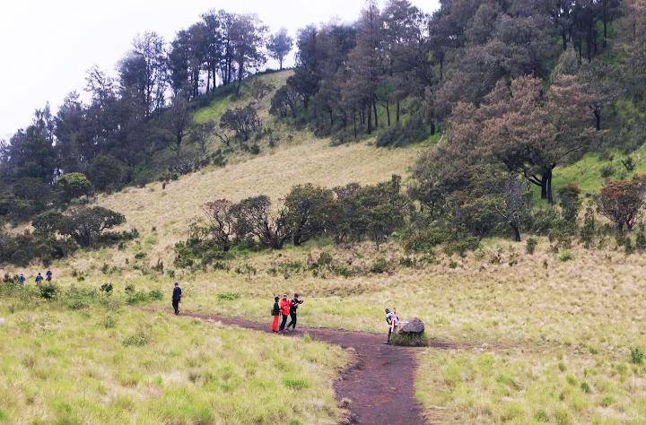 Gunung Lawu, Jawa Timur (google.com/maps/Aris Risnandar)