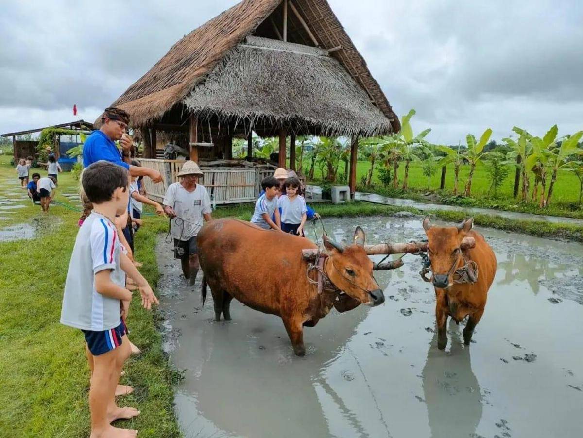 Desa Wisata Kesiman di Bali