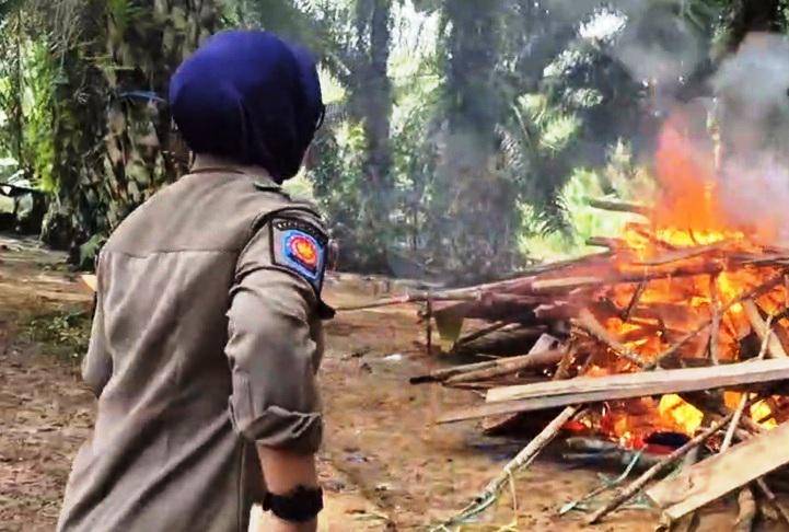 Seorang anggota Satpol PP PPU lakukan pembangkaran bangunan tempat judi yang di bongkar