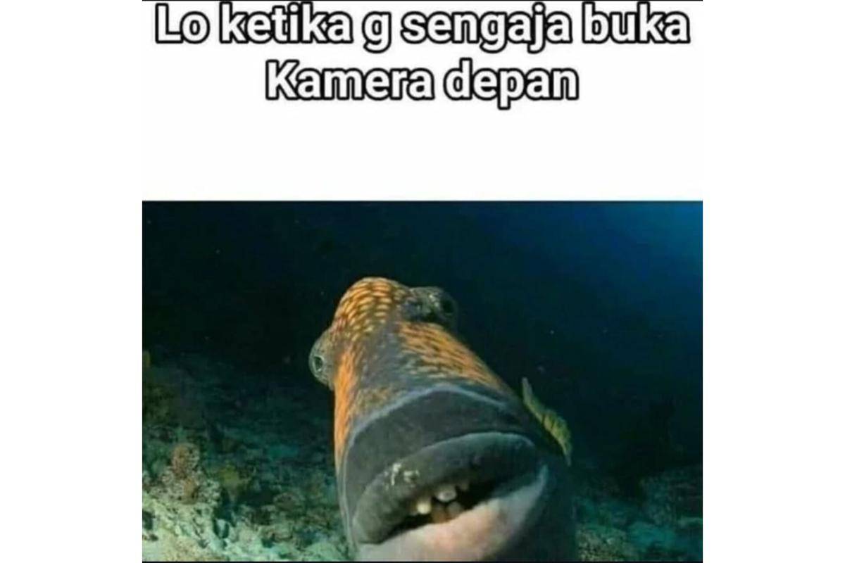 7 Meme Kaget Gara-Gara Hal Kocak, Ketawa Campur Panik!
