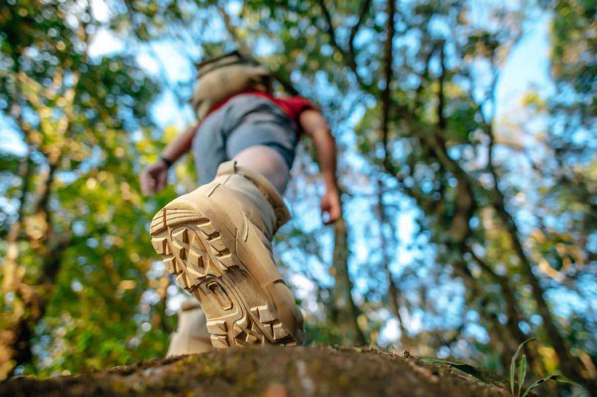 Ilustrasi pria hiking (freepik.com/jcomp)