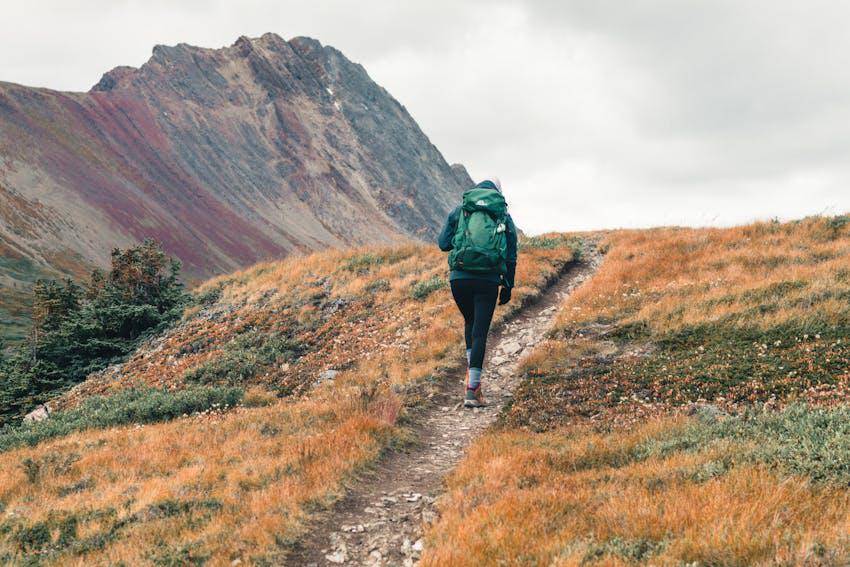Ilustrasi pendaki gunung (pexels.com/Ali Kazal)