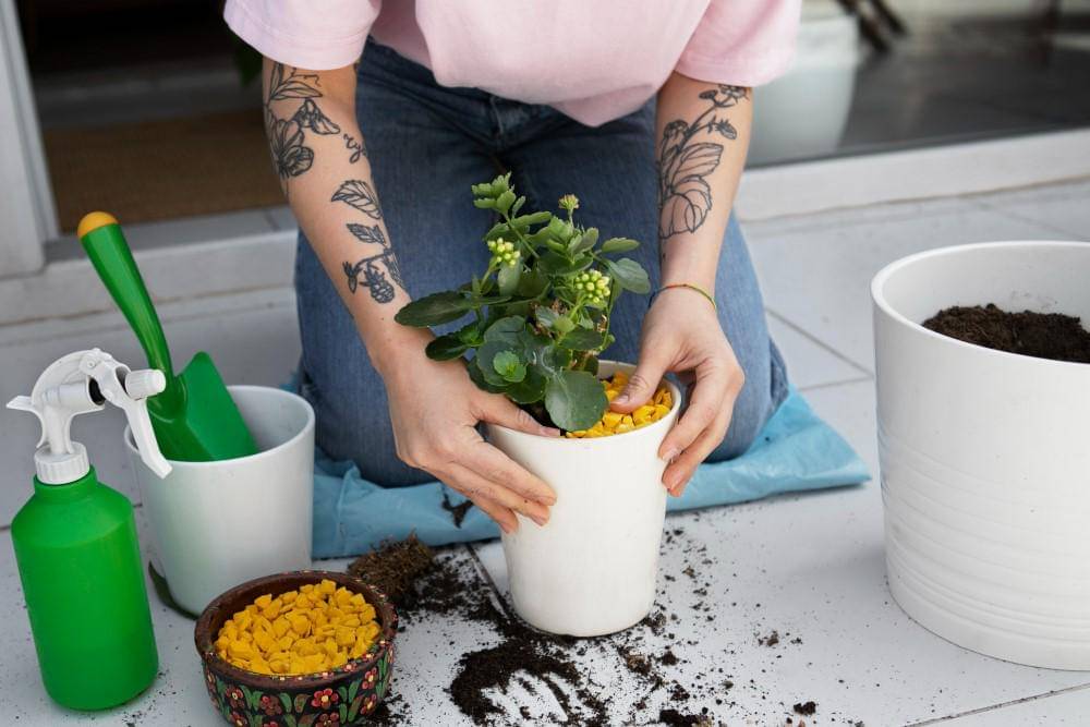 ilustrasi perempuan menanam tanaman