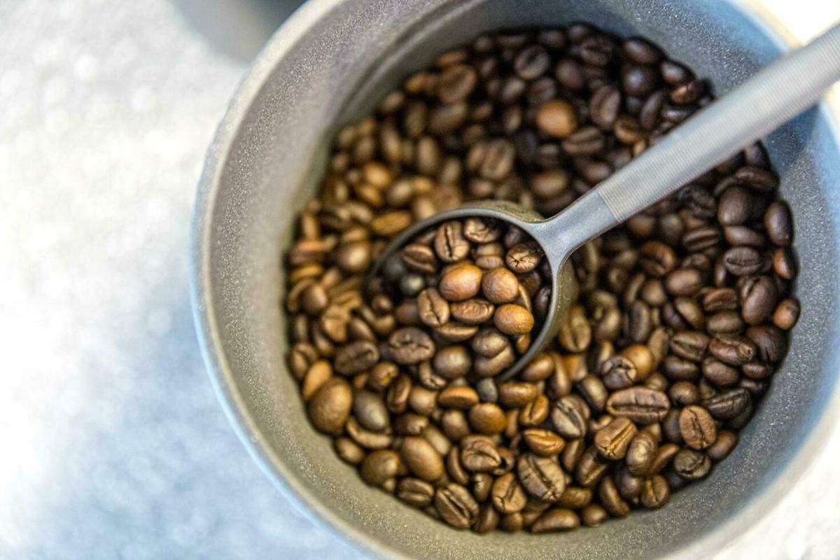 ilustrasi biji kopi (vecteezy.com/Kowit Srijunyanont)