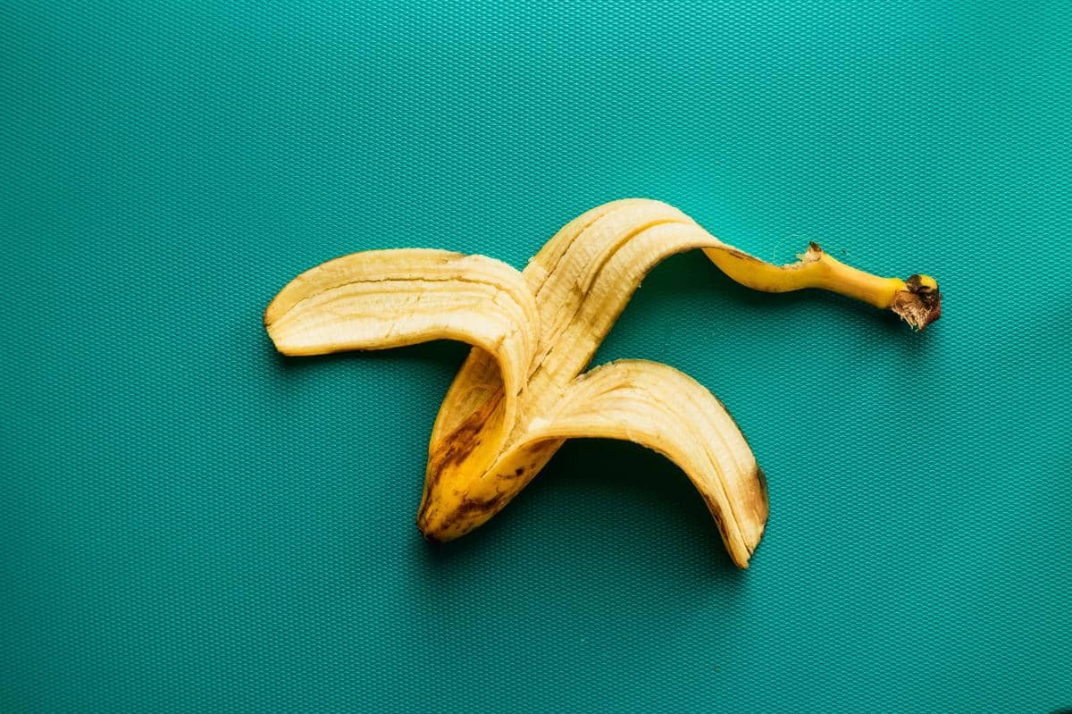Potret kulit pisang  