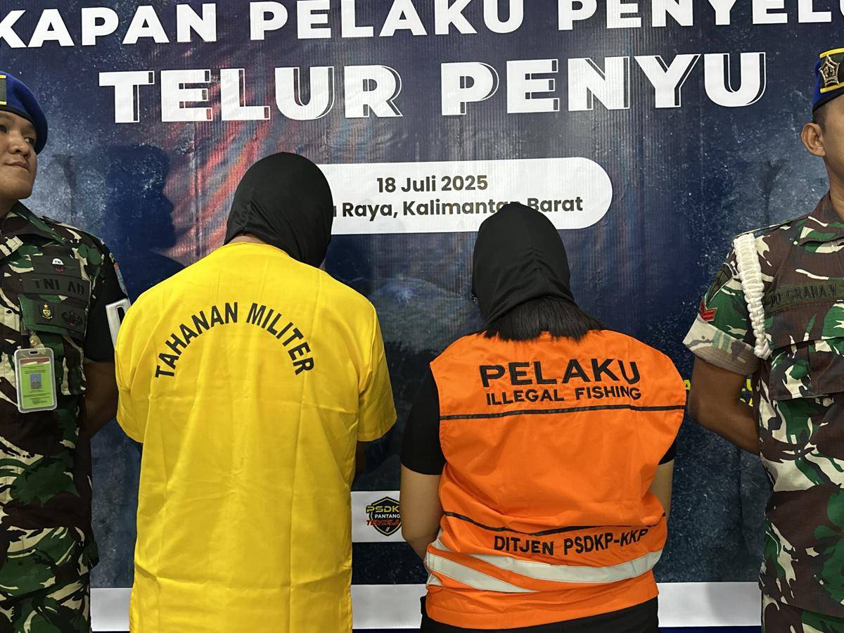 Oknum TNI Selundupkan Ribuan Telur Penyu ke Malaysia Lewat Jalur Tikus