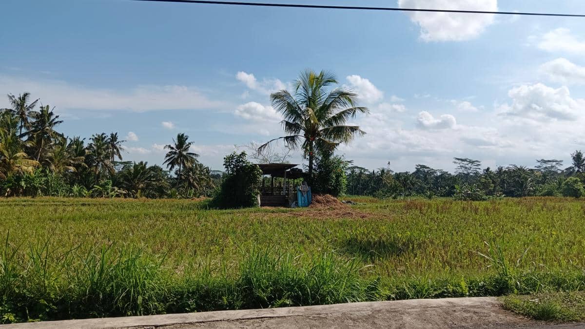 Cuaca di Bali 1 Juni 2026 Diprediksi Cerah Berawan