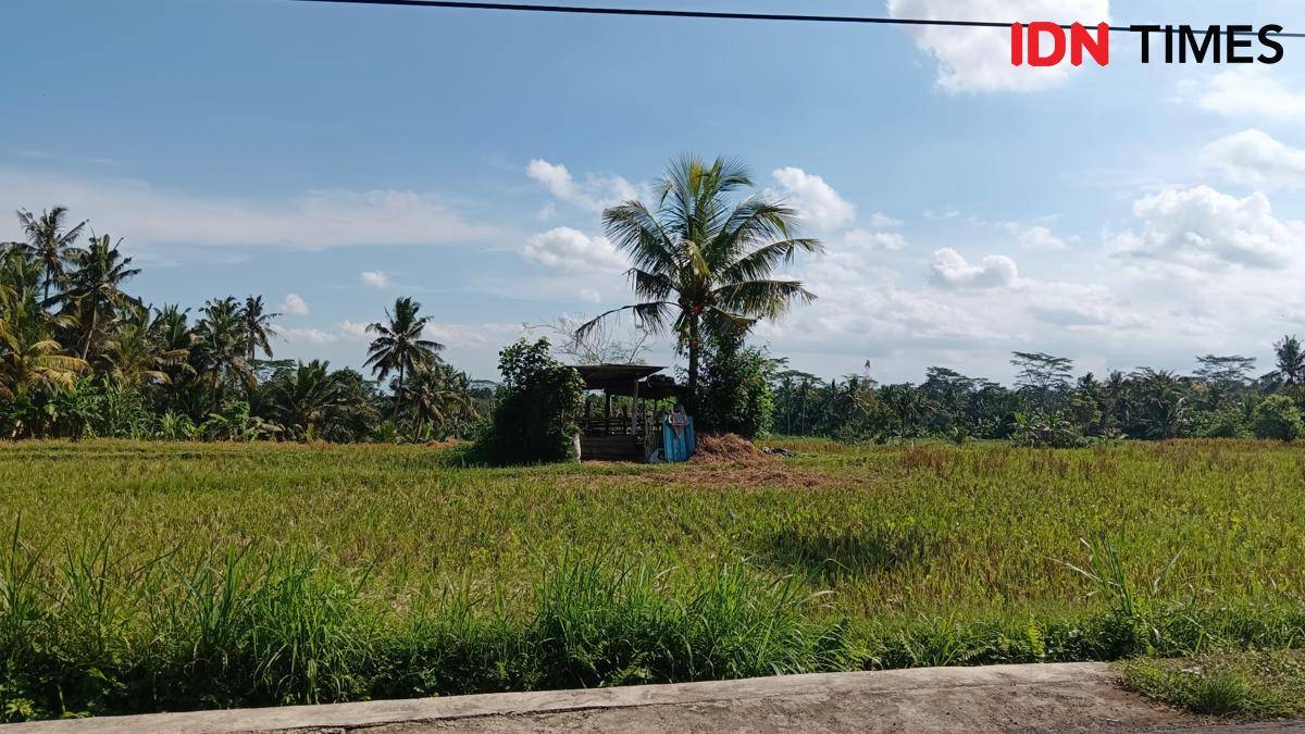 Desa Bali